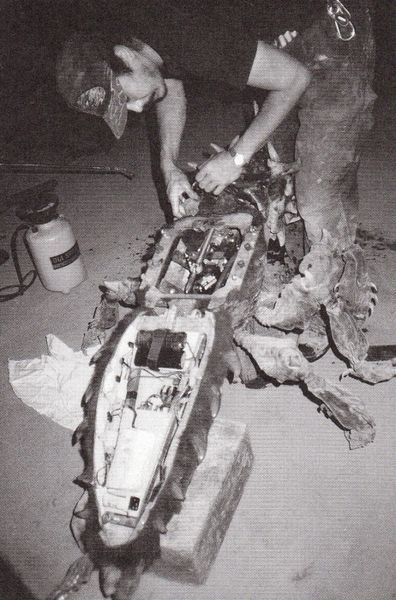 File:G19050.jpg