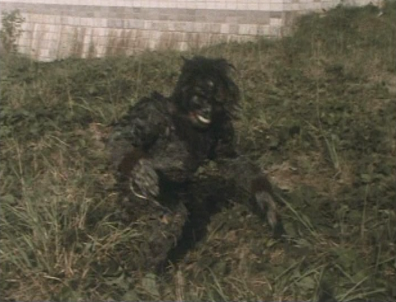 File:Go! Greenman - Greenman vs. Gaira - 28.png