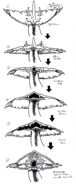 File:Concept Art - Godzilla vs. Biollante - Biollante Head 3.png