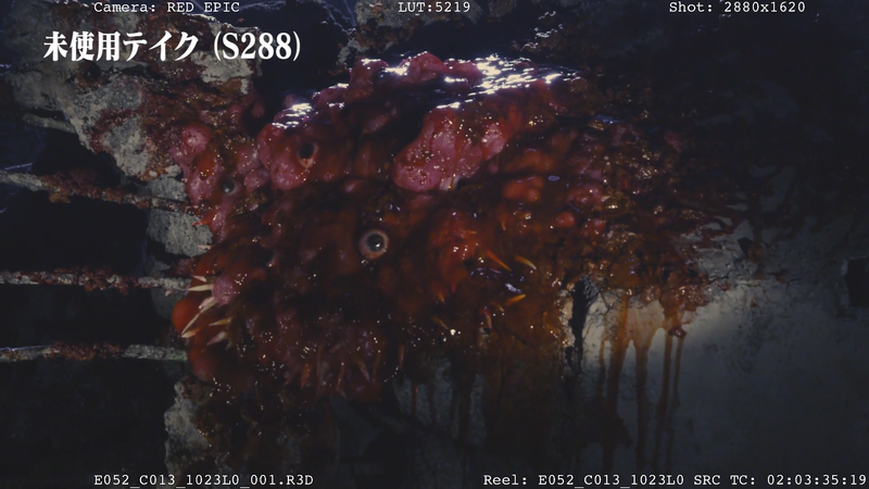 File:Shin - Sprouting flesh cut footage 01.png