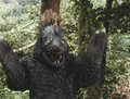 Thumbnail for version as of 00:45, 9 May 2017