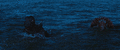 Thumbnail for version as of 00:04, 3 December 2018
