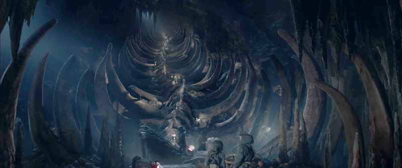 File:G14 - Species 5146 Adam skeleton 02.png