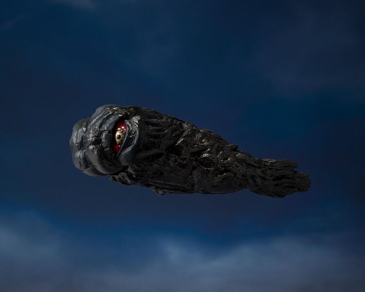 File:Hedra71-hi-res-7.jpg