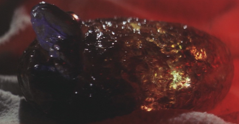 File:Gamera - 2 - vs Barugon - 4 - Barugon Hatches.png