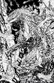 Thumbnail for version as of 02:34, 21 May 2020