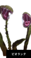 Thumbnail for version as of 23:00, 28 January 2025