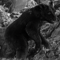 Thumbnail for version as of 22:28, 30 March 2019