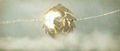 Thumbnail for version as of 15:50, 9 September 2017