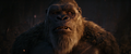 Thumbnail for version as of 22:18, 3 December 2023