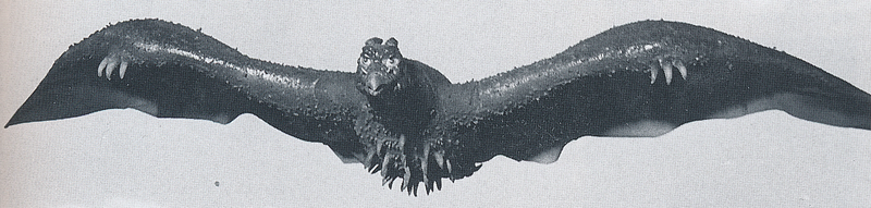 File:Half size flying rodan GTTHM.png