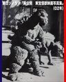 Thumbnail for version as of 02:43, 7 January 2024
