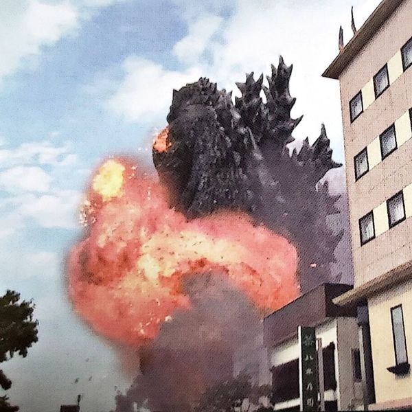 File:Godzilla appears in Sukagawa 13.jpeg