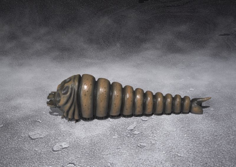 File:SHMA HeiseiMosuLarva 4.jpg