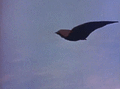 Thumbnail for version as of 00:14, 21 June 2018