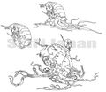 Thumbnail for version as of 18:20, 23 July 2016