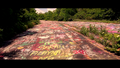 Thumbnail for version as of 03:35, 23 December 2023