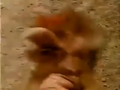 Thumbnail for version as of 15:49, 19 January 2024