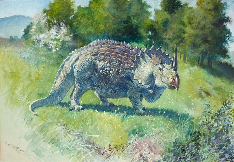 File:Agathaumas Knight.jpg