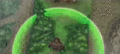 Thumbnail for version as of 14:54, 20 June 2022