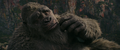 Thumbnail for version as of 23:58, 19 March 2024
