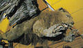 Thumbnail for version as of 16:00, 28 January 2017