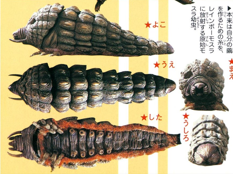 File:Primitive Mothra angles.png