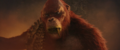 Thumbnail for version as of 22:27, 23 May 2024