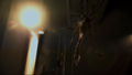 Thumbnail for version as of 13:00, 2 August 2017