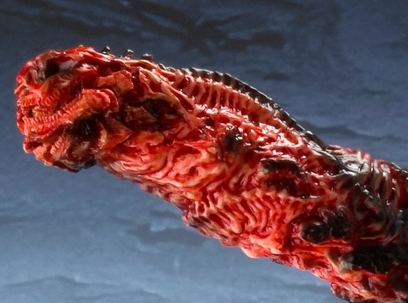 File:SHMA Tail.jpeg