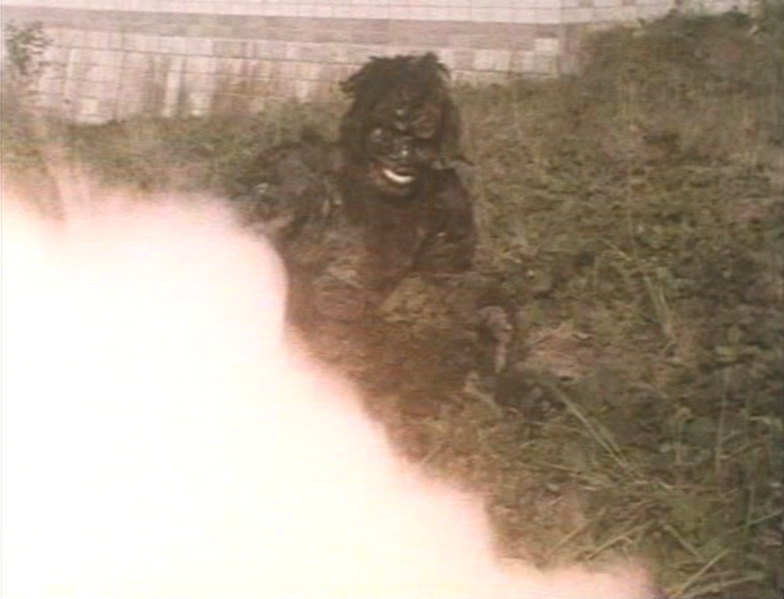 File:Go! Greenman - Greenman vs. Gaira - 29.png