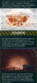 Thumbnail for version as of 22:19, 19 July 2018