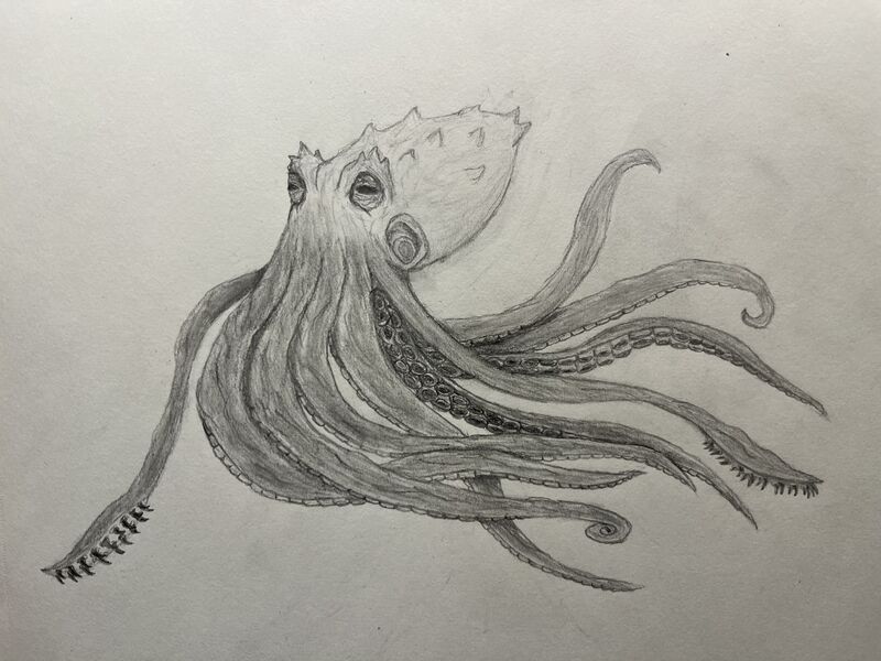 File:Ursula hybrid.jpg