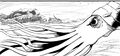 Thumbnail for version as of 04:50, 3 March 2024