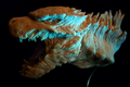 Thumbnail for version as of 22:06, 5 July 2016