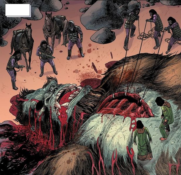 File:Kong Autopsy.jpg