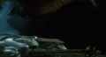Thumbnail for version as of 09:58, 20 March 2019