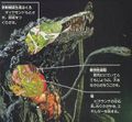 Thumbnail for version as of 01:41, 30 July 2016