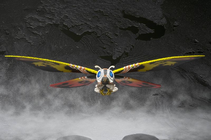 File:SHMA Mothra.jpg