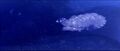Thumbnail for version as of 02:11, 12 January 2025