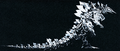 Thumbnail for version as of 03:38, 1 August 2018