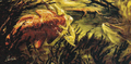 Thumbnail for version as of 20:33, 20 January 2018