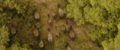 Thumbnail for version as of 00:31, 16 April 2024