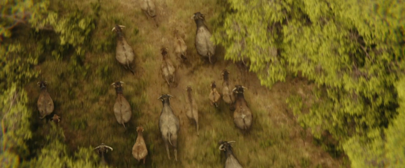 File:KSI - Cattle.png