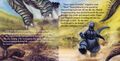 Thumbnail for version as of 06:27, 6 January 2025
