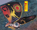 Thumbnail for version as of 21:37, 27 February 2019