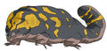 Thumbnail for version as of 19:25, 23 July 2016