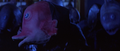 Thumbnail for version as of 05:26, 27 July 2018