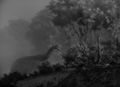 Thumbnail for version as of 03:19, 21 March 2020