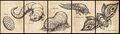 Thumbnail for version as of 18:12, 8 February 2025